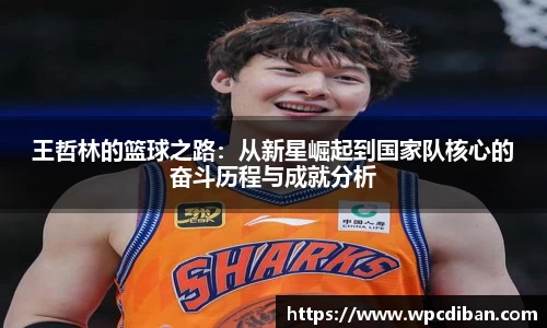 王哲林的篮球之路：从新星崛起到国家队核心的奋斗历程与成就分析